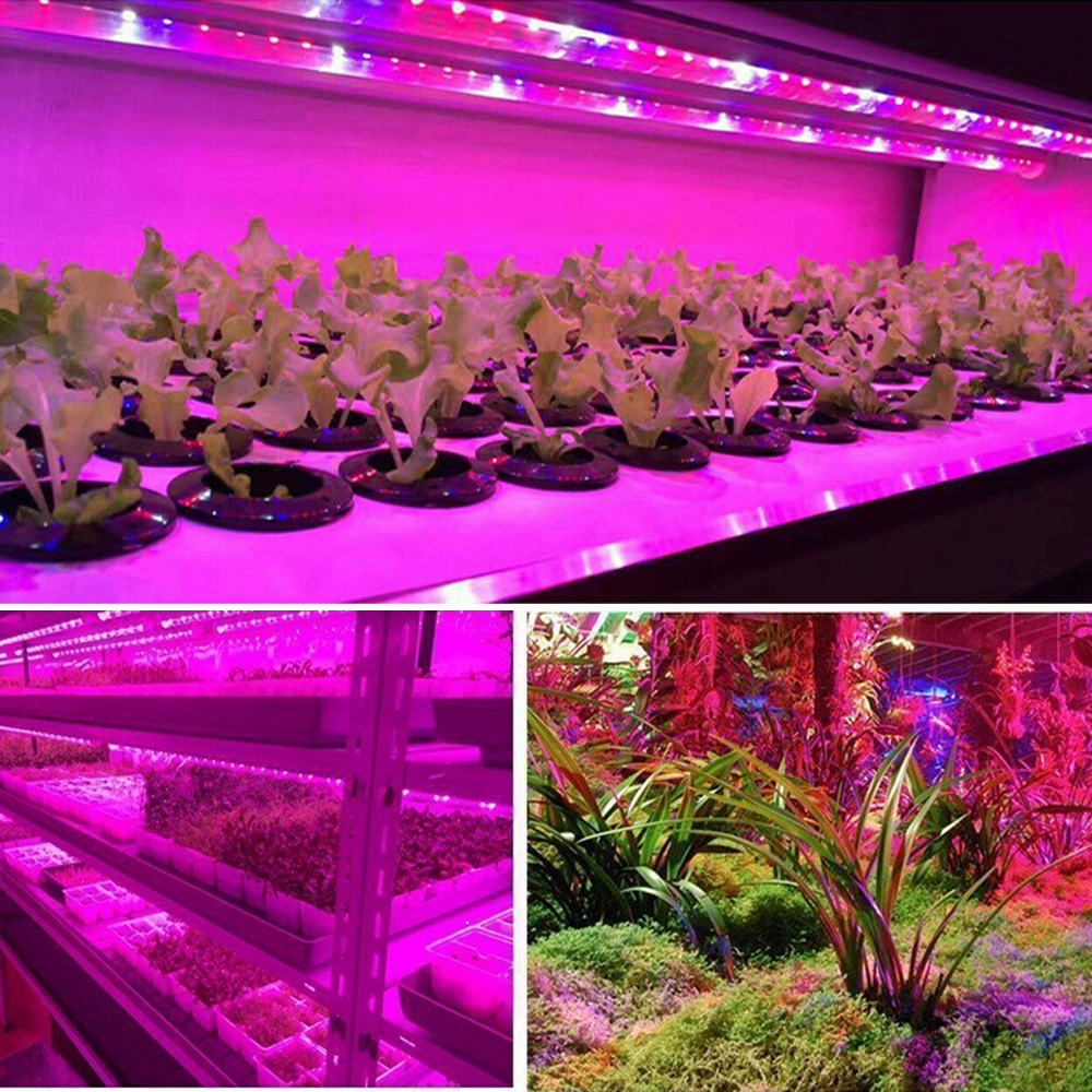 Beolina növénynevelő LED szalag Beolina növénynevelő LED szalag